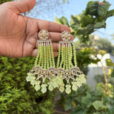 Saanvi Earrings (11 colors)